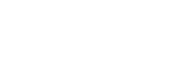 Silk HD, alta definição